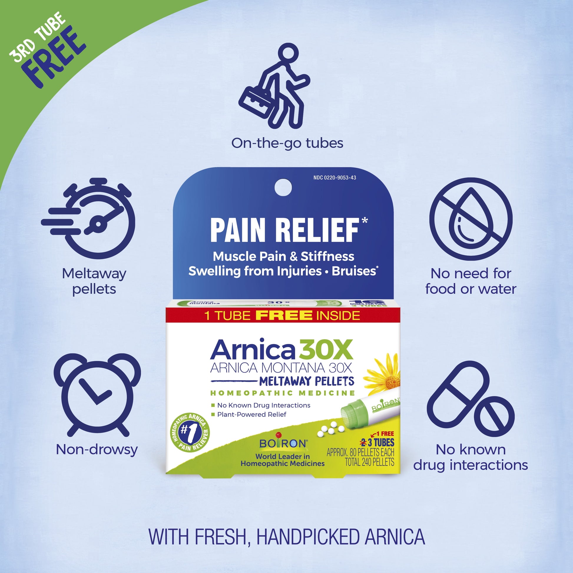 Arnica 30X Bonus Pack Pain Relief, Muscle Pain & Stiffness, Swelling from Injuries, Bruises, 3 X 80 Pellets