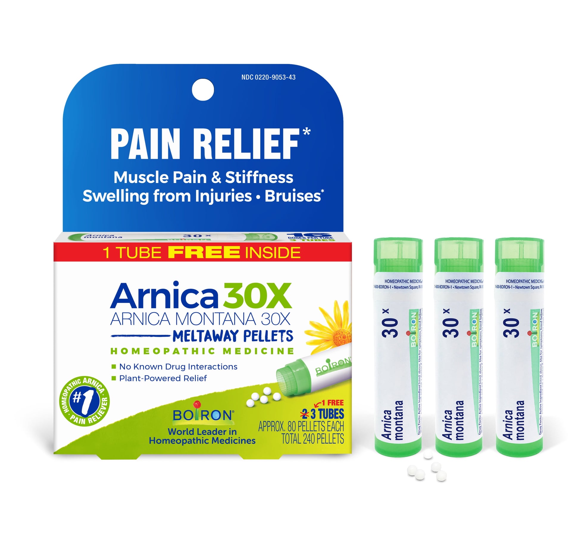 Arnica 30X Bonus Pack Pain Relief, Muscle Pain & Stiffness, Swelling from Injuries, Bruises, 3 X 80 Pellets