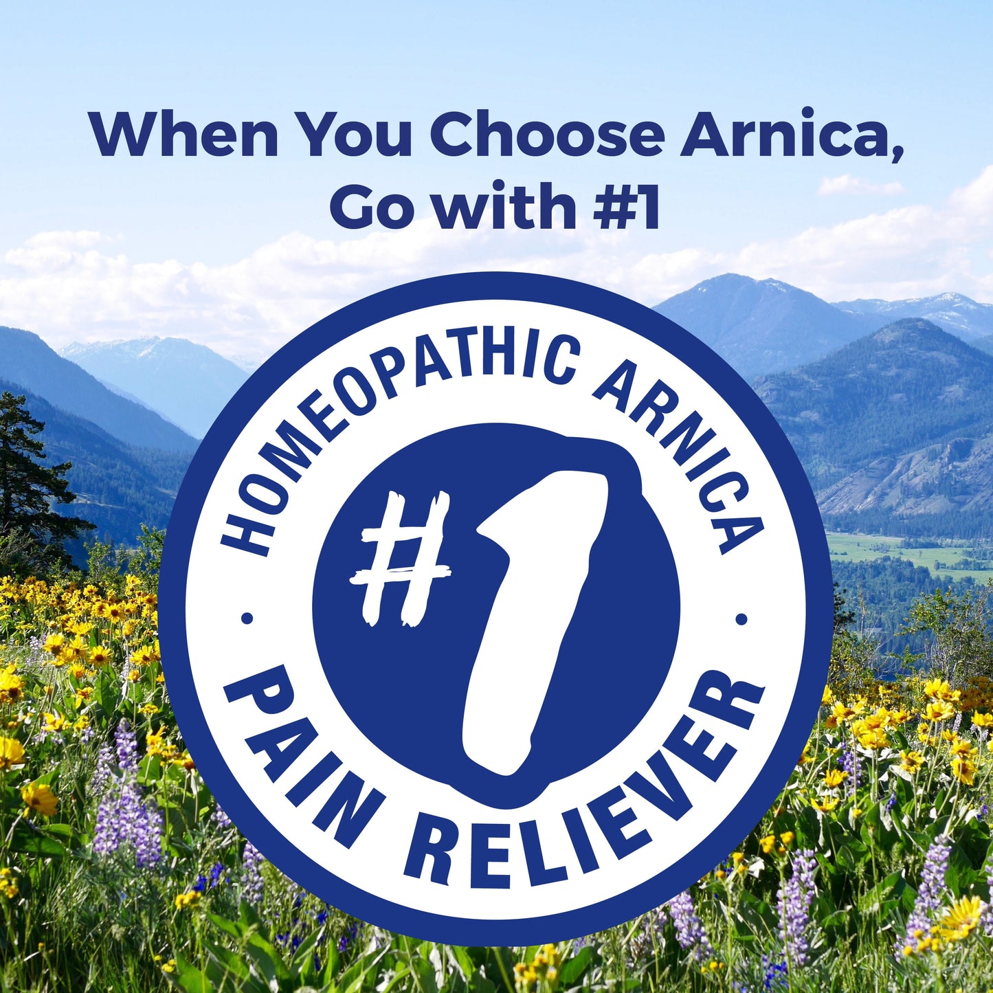 Arnica 30X Bonus Pack Pain Relief, Muscle Pain & Stiffness, Swelling from Injuries, Bruises, 3 X 80 Pellets
