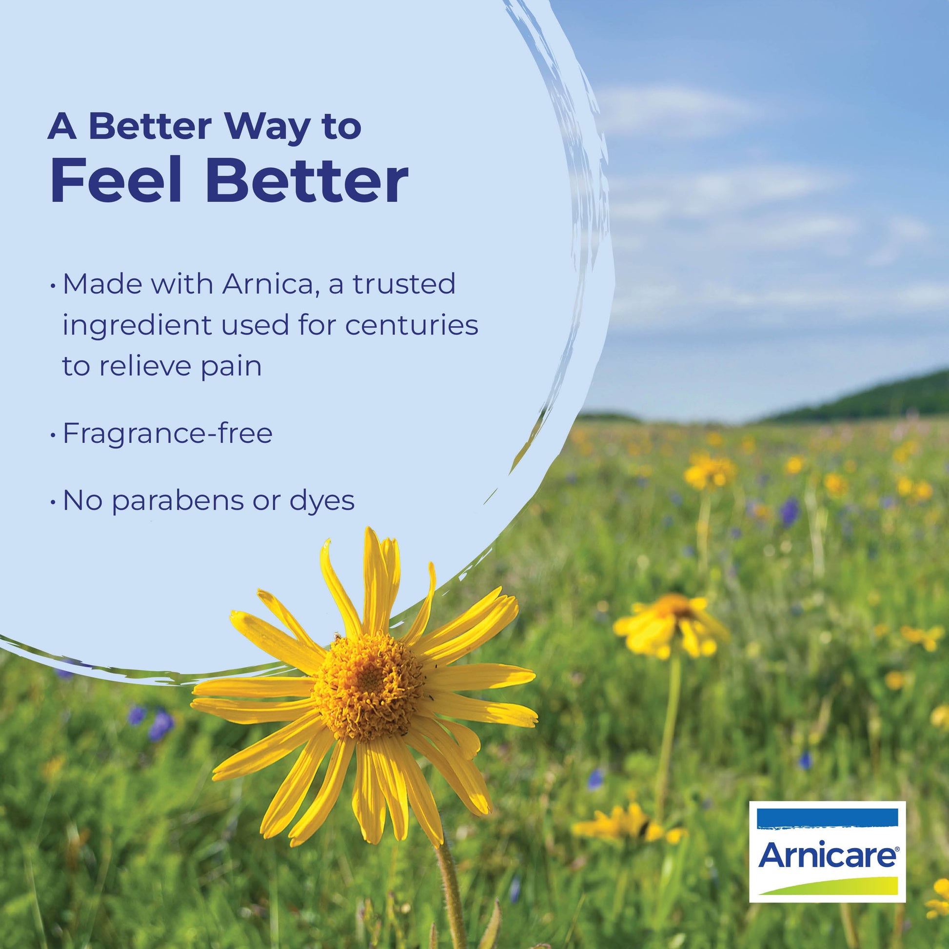 Cream & Arnica Montana 30C, Homeopathic Medicine for Pain Relief, Muscle Pain & Stiffness, Swelling from Injuries, Bruises, 2.5 Oz Cream and 80 Pellets Value Pack