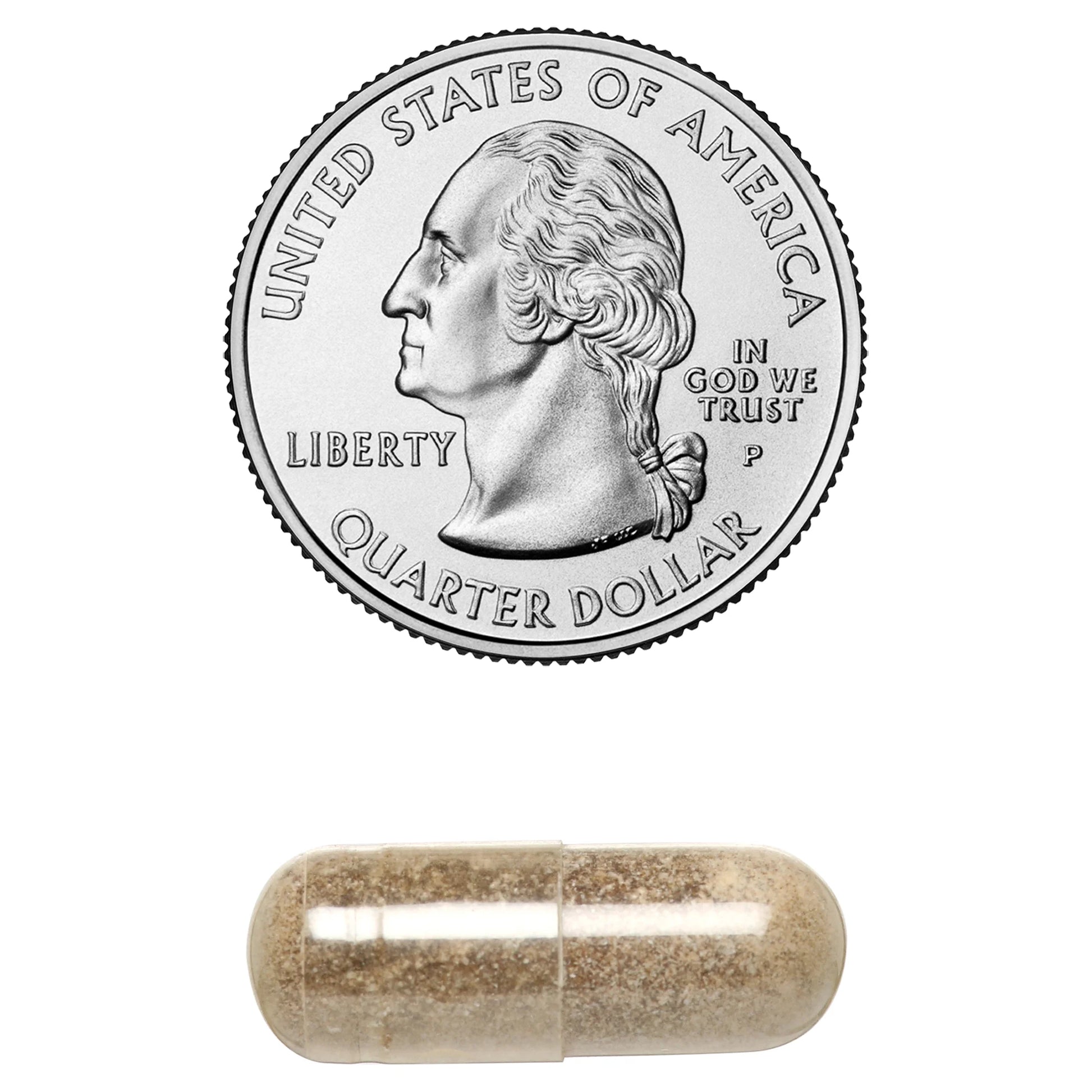 Sleep Support - 60 Capsules